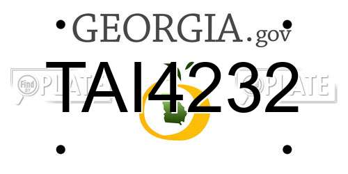 TAI4232 Georgia License Plate