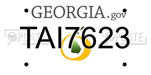 TAI7623 Georgia License Plate