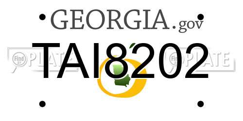 TAI8202 Georgia License Plate