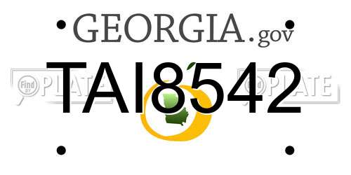 TAI8542 Georgia License Plate