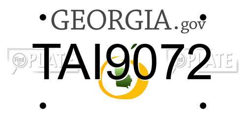 TAI9072 Georgia License Plate