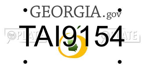 TAI9154 Georgia License Plate