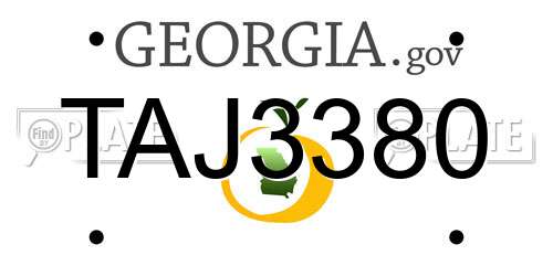 TAJ3380 Georgia License Plate