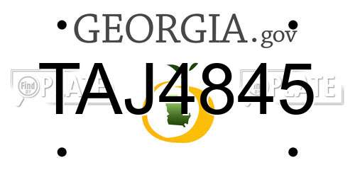 TAJ4845 Georgia License Plate