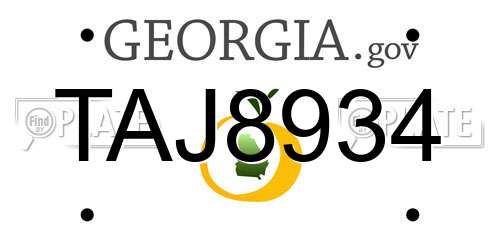 TAJ8934 Georgia License Plate