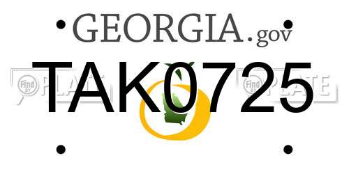 TAK0725 Georgia License Plate