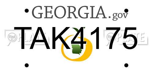 TAK4175 Georgia License Plate