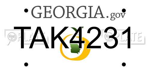TAK4231 Georgia License Plate