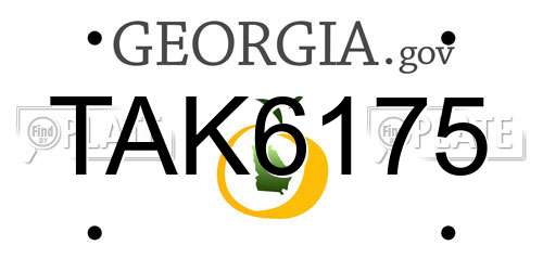 TAK6175 Georgia License Plate