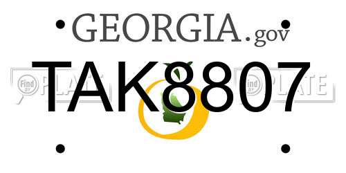 TAK8807 Georgia License Plate