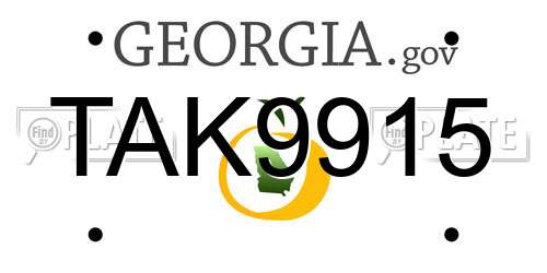 TAK9915 Georgia License Plate