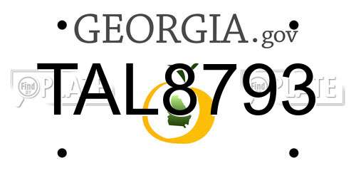 TAL8793 Georgia License Plate