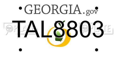TAL8803 Georgia License Plate