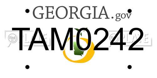 TAM0242 Georgia License Plate