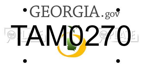 TAM0270 Georgia License Plate