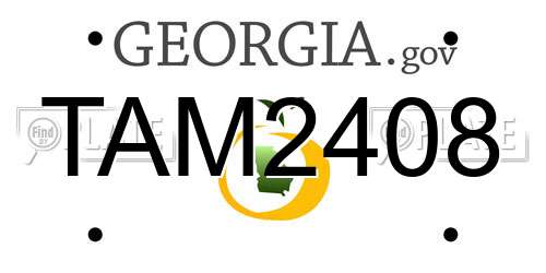 TAM2408 Georgia License Plate