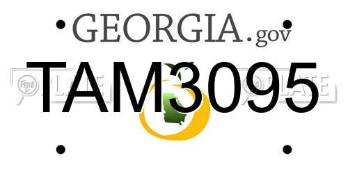 TAM3095 Georgia License Plate