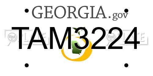 TAM3224 Georgia License Plate