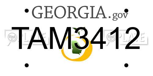 TAM3412 Georgia License Plate
