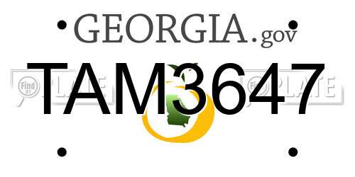 TAM3647 Georgia License Plate