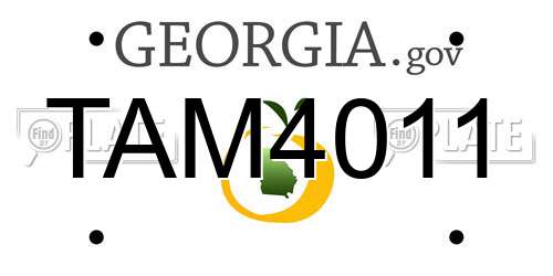 TAM4011 Georgia License Plate