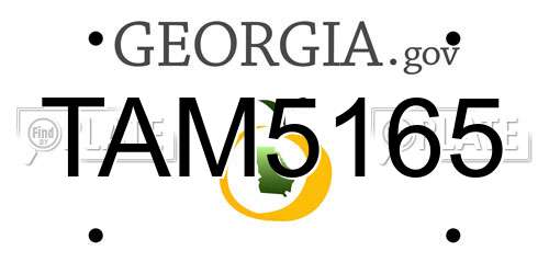 TAM5165 Georgia License Plate