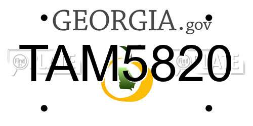 TAM5820 Georgia License Plate