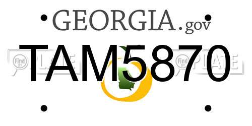 TAM5870 Georgia License Plate