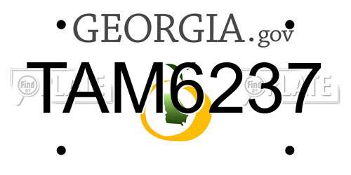 TAM6237 Georgia License Plate
