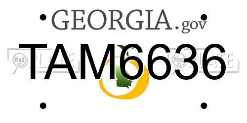 TAM6636 Georgia License Plate