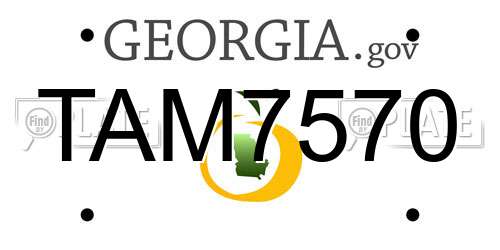 TAM7570 Georgia License Plate