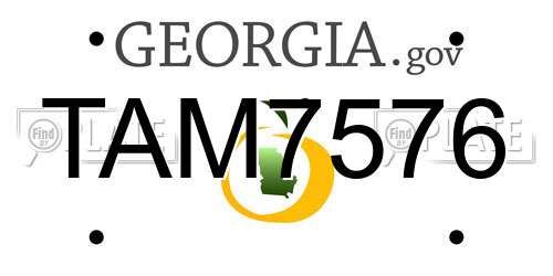 TAM7576 Georgia License Plate