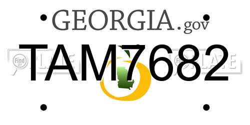 TAM7682 Georgia License Plate