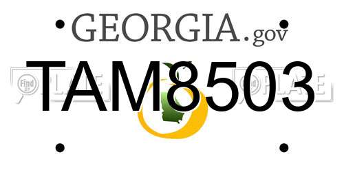 TAM8503 Georgia License Plate