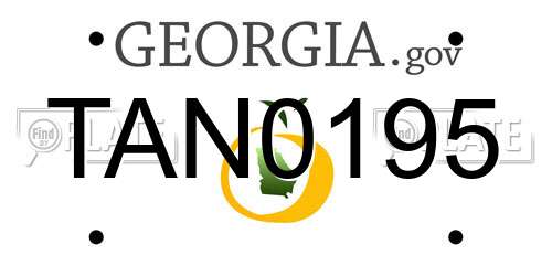 TAN0195 Georgia License Plate