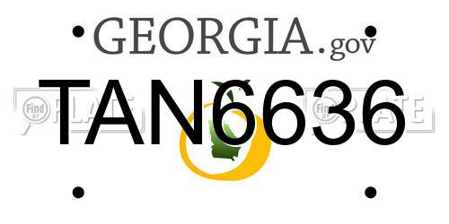 TAN6636 Georgia License Plate
