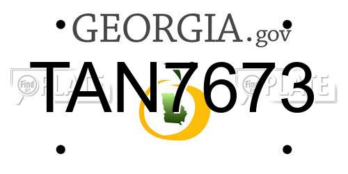 TAN7673 Georgia License Plate