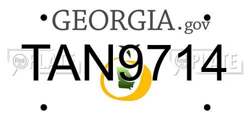 TAN9714 Georgia License Plate