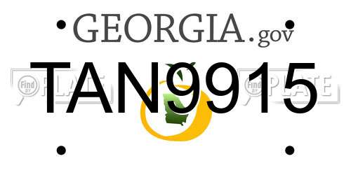 TAN9915 Georgia License Plate