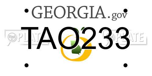 TAO233 Georgia License Plate