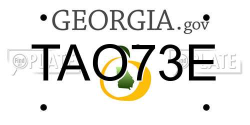 TAO73E Georgia License Plate