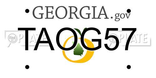 TAOG57 Georgia License Plate