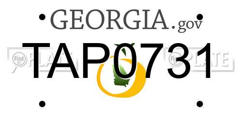 TAP0731 Georgia License Plate