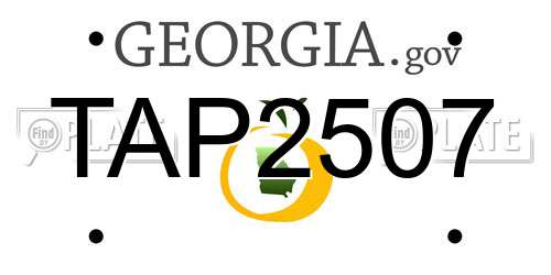 TAP2507 Georgia License Plate