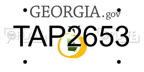 TAP2653 Georgia License Plate