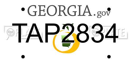 TAP2834 Georgia License Plate