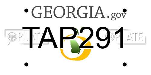 TAP291 Georgia License Plate