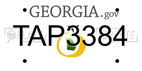 TAP3384 Georgia License Plate
