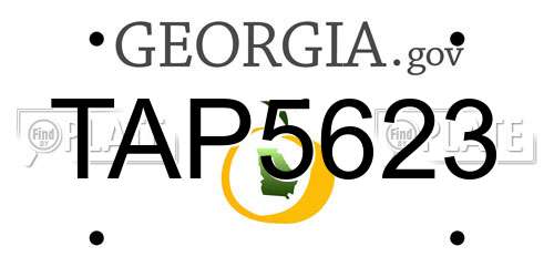 TAP5623 Georgia License Plate