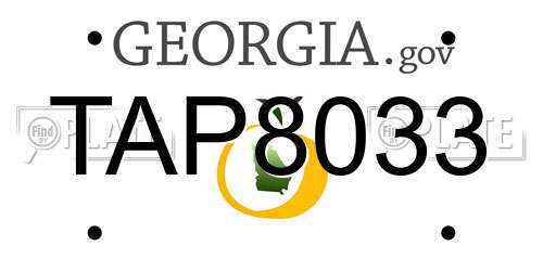 TAP8033 Georgia License Plate